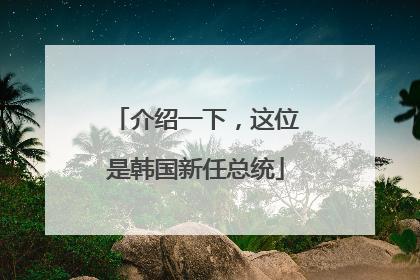 介绍一下，这位是韩国新任总统