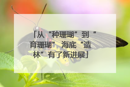 从“种珊瑚”到“育珊瑚” 海底“造林”有了新进展