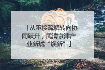 从承接疏解转向协同跃升，武清京津产业新城“焕新”