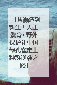 从濒危到新生！人工繁育+野外保护让中国绿孔雀走上种群逆袭之路
