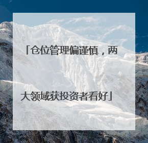 仓位管理偏谨慎，两大领域获投资者看好