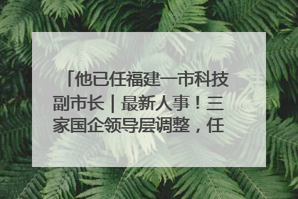 他已任福建一市科技副市长｜最新人事！三家国企领导层调整，任免多位政法系统干部