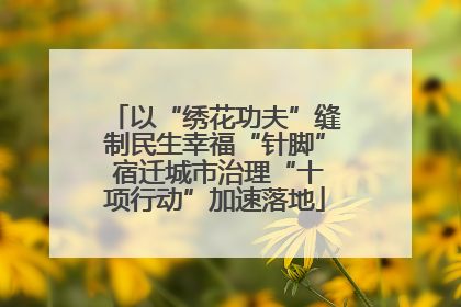 以“绣花功夫”缝制民生幸福“针脚” 宿迁城市治理“十项行动”加速落地
