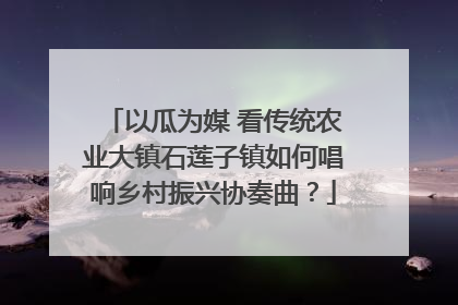 以瓜为媒 看传统农业大镇石莲子镇如何唱响乡村振兴协奏曲？
