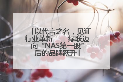 以代言之名，见证行业革新——绿联迈向“NAS第一股”后的品牌跃升
