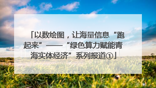 以数绘图，让海量信息“跑起来”——“绿色算力赋能青海实体经济”系列报道①