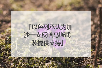 以色列承认为加沙一支反哈马斯武装提供支持
