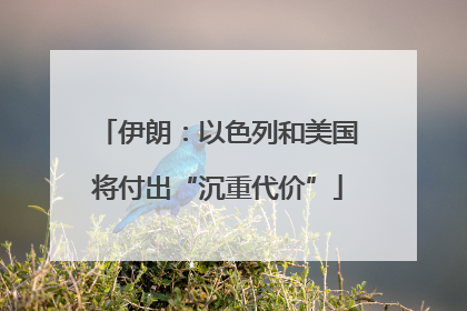 伊朗：以色列和美国将付出“沉重代价”