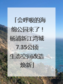 会呼吸的海绵公园来了！杨浦新江湾城7.35公顷生态空间改造焕新
