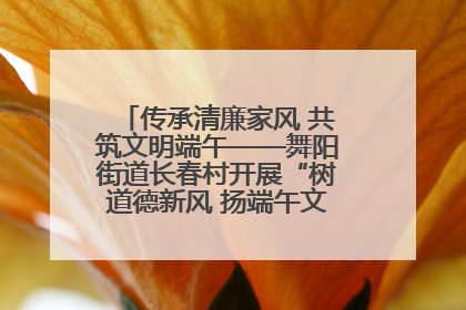 传承清廉家风 共筑文明端午——舞阳街道长春村开展“树道德新风 扬端午文化”主题活动