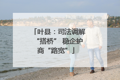 叶县：司法调解“搭桥” 稳企护商“路宽”
