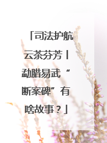 司法护航云茶芬芳丨勐腊易武“断案碑”有啥故事？
