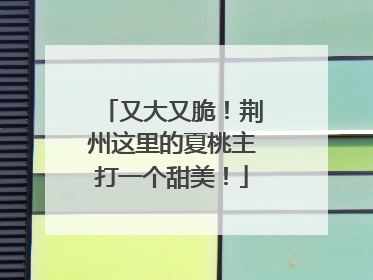 又大又脆！荆州这里的夏桃主打一个甜美！