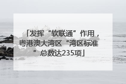 发挥“软联通”作用，粤港澳大湾区“湾区标准”总数达235项