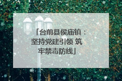 台前县侯庙镇：坚持党建引领 筑牢禁毒防线