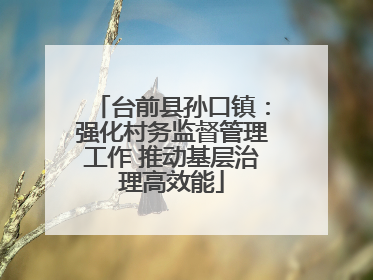 台前县孙口镇：强化村务监督管理工作 推动基层治理高效能