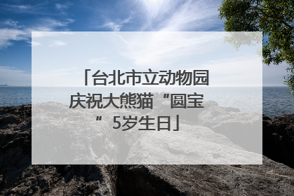 台北市立动物园庆祝大熊猫“圆宝”5岁生日