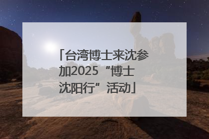 台湾博士来沈参加2025“博士沈阳行”活动