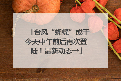 台风“蝴蝶”或于今天中午前后再次登陆！最新动态→