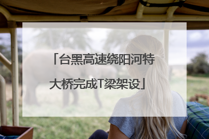 台黑高速绕阳河特大桥完成T梁架设