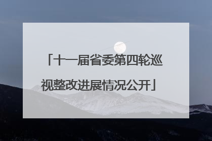 十一届省委第四轮巡视整改进展情况公开