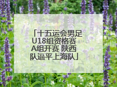 十五运会男足U18组资格赛A组开赛 陕西队逼平上海队