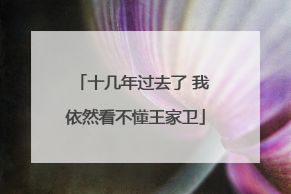 十几年过去了 我依然看不懂王家卫
