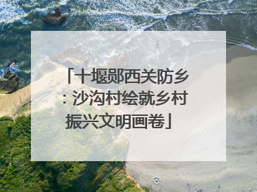 十堰郧西关防乡：沙沟村绘就乡村振兴文明画卷