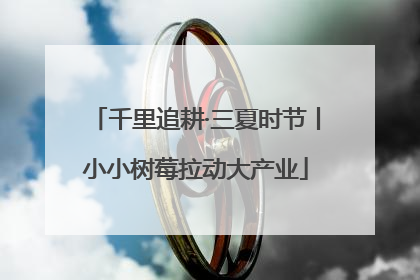 千里追耕·三夏时节丨小小树莓拉动大产业
