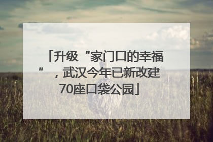 升级“家门口的幸福”，武汉今年已新改建70座口袋公园