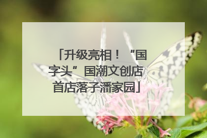 升级亮相！“国字头”国潮文创店首店落子潘家园
