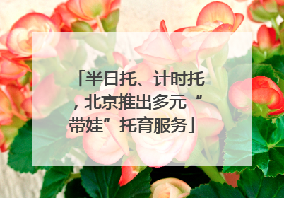 半日托、计时托，北京推出多元“带娃”托育服务