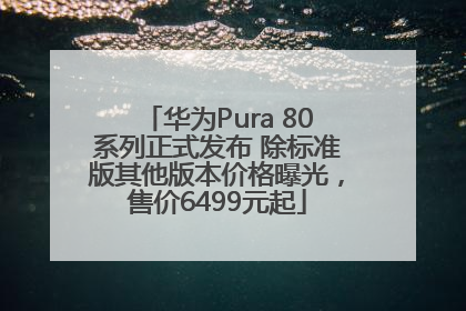 华为Pura 80系列正式发布 除标准版其他版本价格曝光，售价6499元起