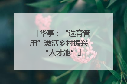 华亭：“选育管用”激活乡村振兴“人才池”