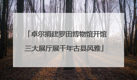 卓尔捐建罗田博物馆开馆 三大展厅展千年古县风雅