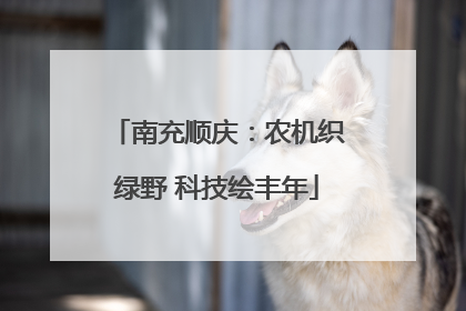 南充顺庆：农机织绿野 科技绘丰年