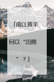 南江黄羊何以“出圈”？