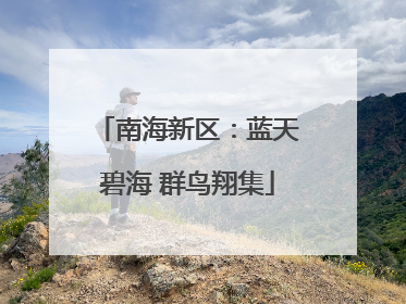南海新区：蓝天碧海 群鸟翔集