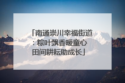 南通崇川幸福街道：粽叶飘香暖童心 田间耕耘助成长