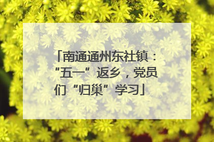 南通通州东社镇：“五一”返乡，党员们“归巢”学习