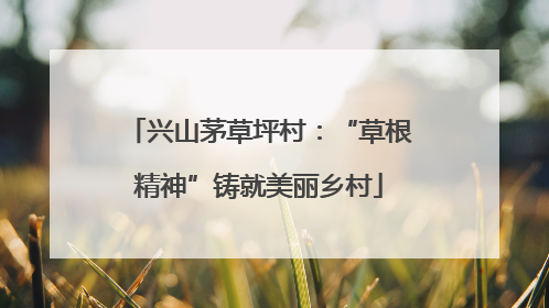 兴山茅草坪村：“草根精神”铸就美丽乡村