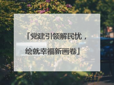 党建引领解民忧，绘就幸福新画卷
