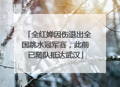全红婵因伤退出全国跳水冠军赛，此前已随队抵达武汉