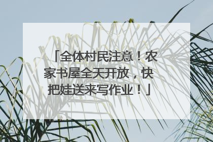 全体村民注意！农家书屋全天开放，快把娃送来写作业！