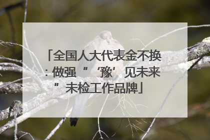 全国人大代表金不换：做强“‘豫’见未来”未检工作品牌