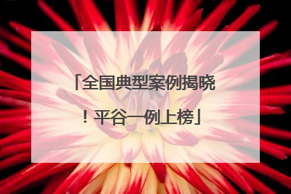 全国典型案例揭晓！平谷一例上榜