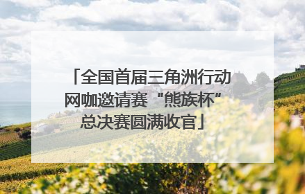 全国首届三角洲行动网咖邀请赛“熊族杯”总决赛圆满收官