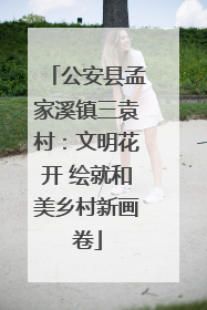 公安县孟家溪镇三袁村：文明花开 绘就和美乡村新画卷