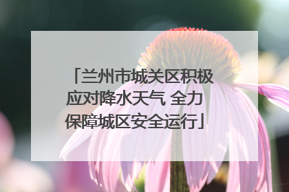 兰州市城关区积极应对降水天气 全力保障城区安全运行