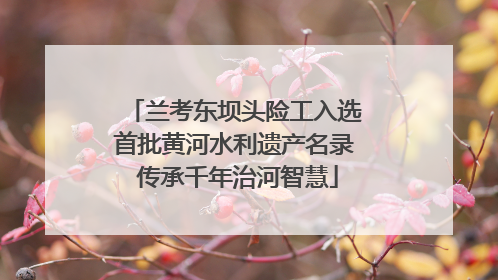 兰考东坝头险工入选首批黄河水利遗产名录 传承千年治河智慧